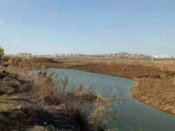 东平湖东平县东平湖（水浒古镇至泰