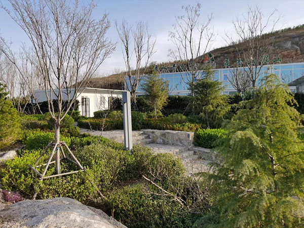 东平湖西岸金山片区生态绿化修复